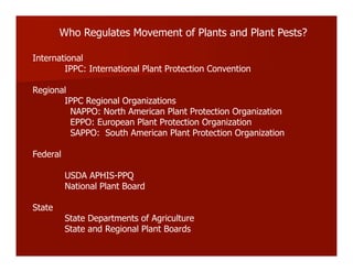 Who Regulates Movement of Plants and Plant Pests?
International
IPPC: International Plant Protection Convention
Regional
IPPC Regional Organizations
NAPPO: North American Plant Protection Organization
EPPO: European Plant Protection Organization
SAPPO: South American Plant Protection Organization
Federal
USDA APHIS-PPQ
National Plant Board
State
State Departments of Agriculture
State and Regional Plant Boards
 