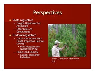 Perspectives
!! State regulators
–! Oregon Department of
Agriculture
–! Other State Ag
Departments
!! Federal regulators
–! USDA Animal and Plant
Health Inspection Service
(APHIS)
"! Plant Protection and
Quarantine (PPQ)
–! Home Land Security
"! Customs and Border
Protection
Pitch Canker in Monterey,
CA!
 