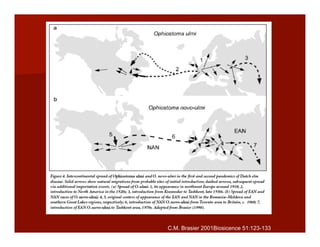 C.M. Brasier 2001Biosicence 51:123-133
 