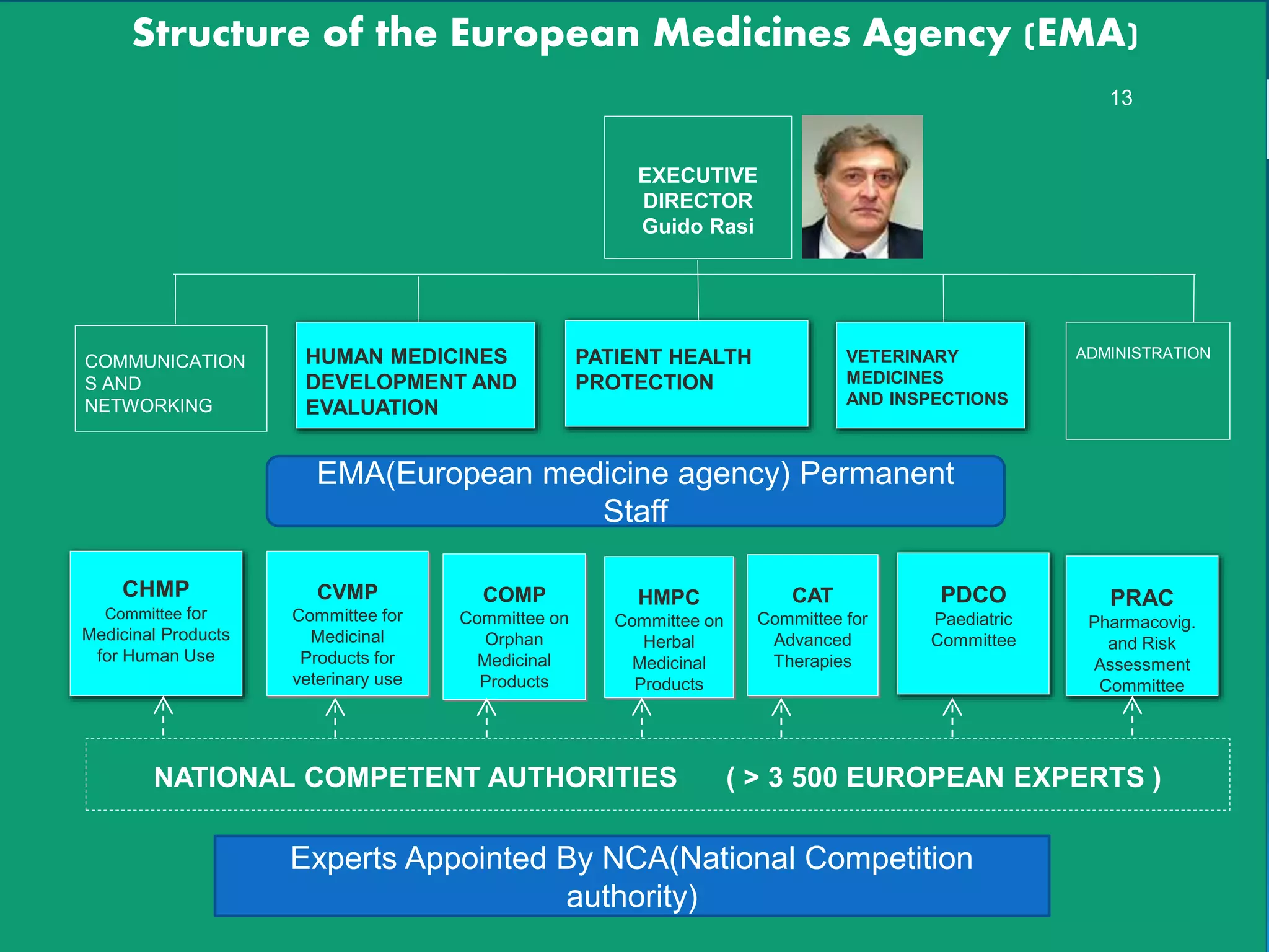Regulatory requirement for europe union | PPTX