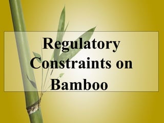 Regulatory Constraints on Bamboo   