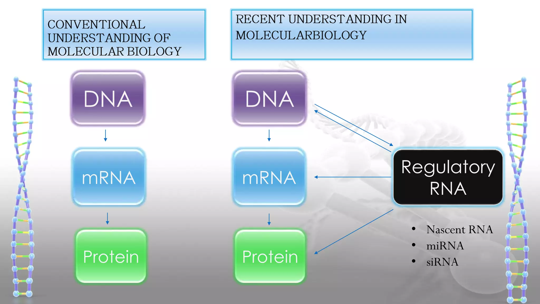 DNA
mRNA
Protein
DNA
mRNA
Protein
Regulatory
RNA
• Nascent RNA
• miRNA
• siRNA
 
