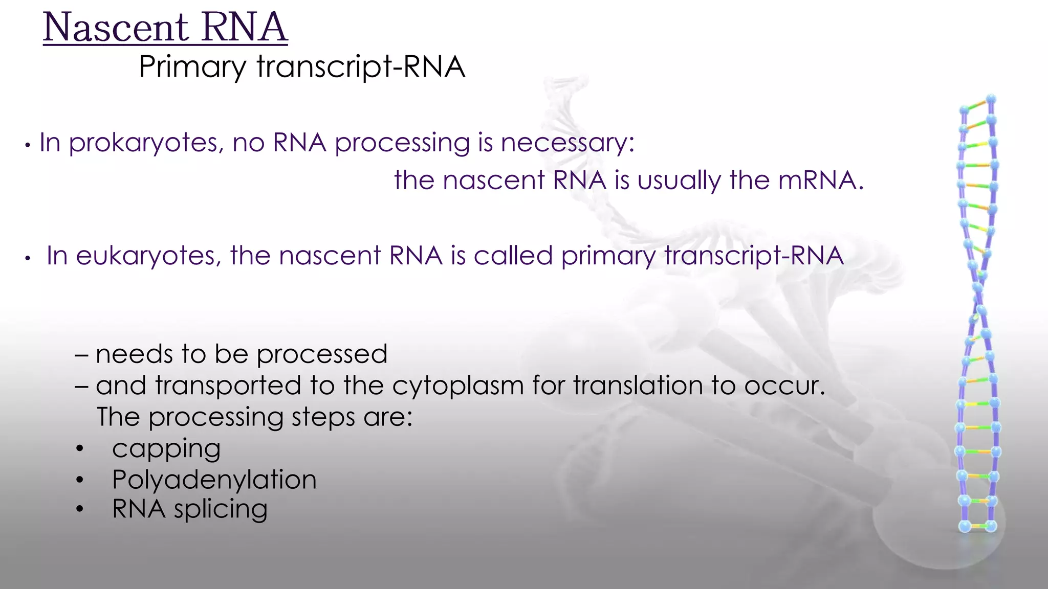 • In prokaryotes, no RNA processing is necessary:
the nascent RNA is usually the mRNA.
• In eukaryotes, the nascent RNA is called primary transcript-RNA
Primary transcript-RNA
– needs to be processed
– and transported to the cytoplasm for translation to occur.
The processing steps are:
• capping
• Polyadenylation
• RNA splicing
 