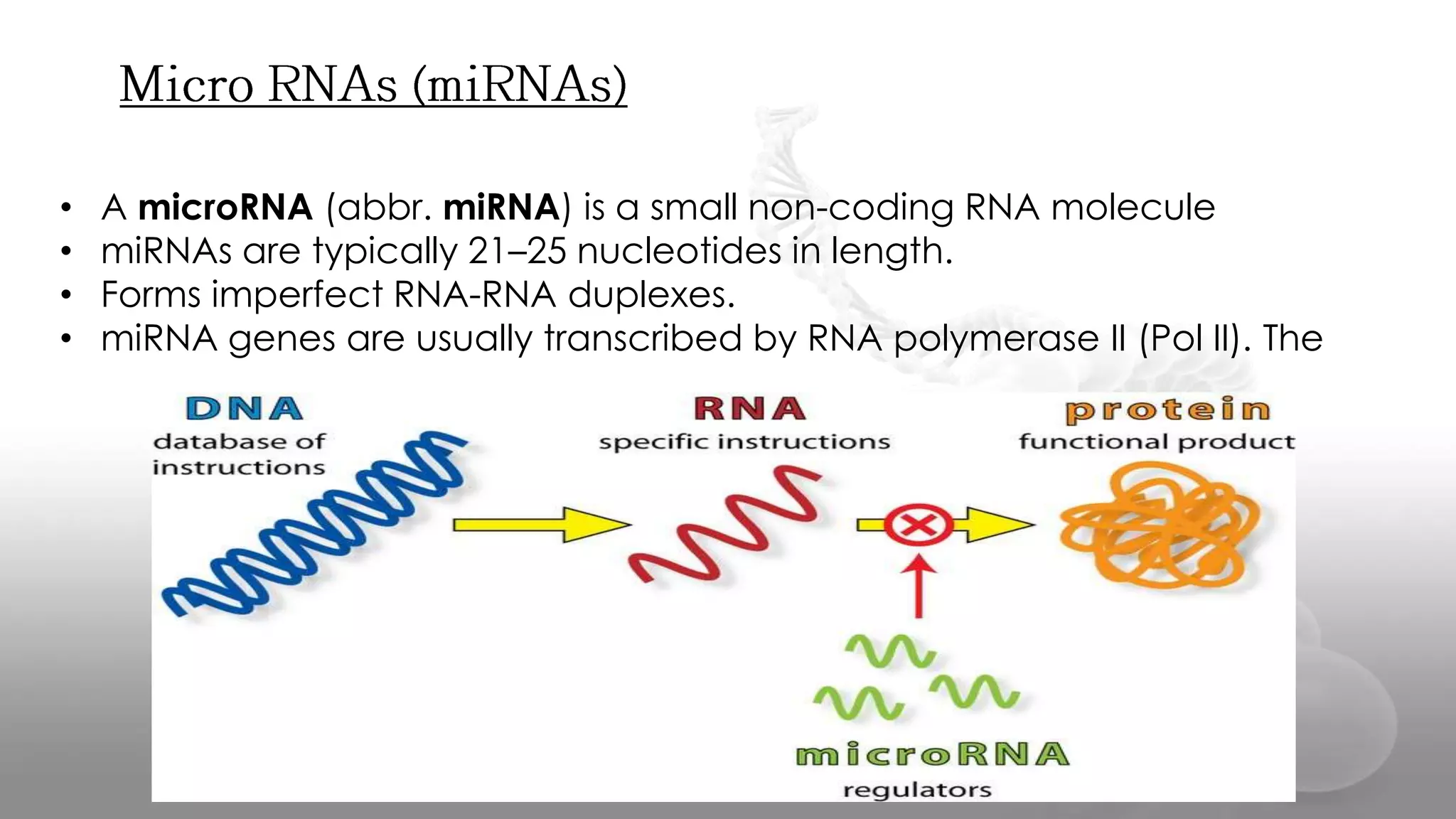 • A microRNA (abbr. miRNA) is a small non-coding RNA molecule
• miRNAs are typically 21–25 nucleotides in length.
• Forms imperfect RNA-RNA duplexes.
• miRNA genes are usually transcribed by RNA polymerase II (Pol II). The
 