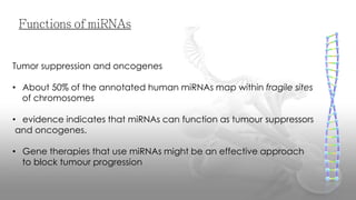Regulatory RNA