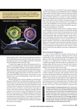 Regulatory t cells | PDF