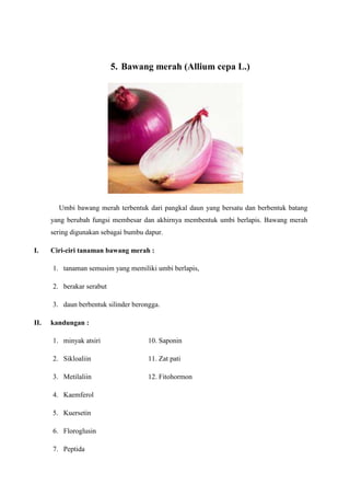 5. Bawang merah (Allium cepa L.)
Umbi bawang merah terbentuk dari pangkal daun yang bersatu dan berbentuk batang
yang berubah fungsi membesar dan akhirnya membentuk umbi berlapis. Bawang merah
sering digunakan sebagai bumbu dapur.
I. Ciri-ciri tanaman bawang merah :
1. tanaman semusim yang memiliki umbi berlapis,
2. berakar serabut
3. daun berbentuk silinder berongga.
II. kandungan :
1. minyak atsiri 10. Saponin
2. Sikloaliin 11. Zat pati
3. Metilaliin 12. Fitohormon
4. Kaemferol
5. Kuersetin
6. Floroglusin
7. Peptida
 