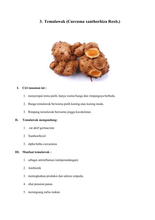 3. Temulawak (Curcuma xanthorhiza Roxb.)
I. Ciri tanaman ini :
1. menyerupai temu putih, hanya warna bunga dan rimpangnya berbeda.
2. Bunga temulawak berwarna putih kuning atau kuning muda.
3. Rimpang temulawak berwarna jingga kecokelatan.
II. Temulawak mengandung:
1. zat aktif germacrene
2. Xanthorrhizol
3. alpha betha curcumena
III. Manfaat temulawak :
1. sebagai antiinflamasi (antiperandangan)
2. Antibiotik
3. meningkatkan produksi dan sekresi empedu.
4. obat penurun panas
5. merangsang nafsu makan
 