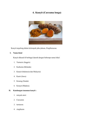 4. Kunyit (Curcuma longa)
Kunyit tergolong dalam kelompok jahe-jahean, Zingiberaceae.
I. Nama lokal
Kunyit dikenal di berbagai daerah dengan beberapa nama lokal:
1. Turmeric (Inggris)
2. Kurkuma (Belanda)
3. Kunyit (Indonesia dan Malaysia)
4. Kunir (Jawa)
5. Koneng (Sunda)
6. Konyet (Madura).
II. Kandungan tanaman kunyit :
1. minyak atsiri
2. Curcumin
3. turmeron
4. zingiberen
 