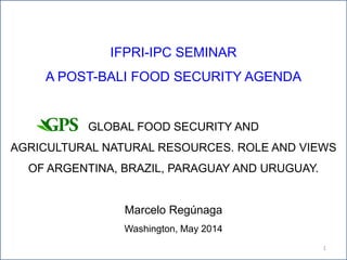 IFPRI-IPC SEMINAR
A POST-BALI FOOD SECURITY AGENDA
GLOBAL FOOD SECURITY AND
AGRICULTURAL NATURAL RESOURCES. ROLE AND VIEWS
OF ARGENTINA, BRAZIL, PARAGUAY AND URUGUAY.
Marcelo Regúnaga
Washington, May 2014
1
 