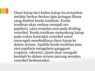 • Daun katup dari kedua katup itu tertambat
  melalui berkas-berkas tipis jaringan fibosa
  yang disebut korda tendinae. Korda
  tendinae akan meluas menjadi oto
  papilaris, yaitu tonjolan otot pada dinding
  ventrikel. Korda tendinae menyokong katup
  pada waktu kontraksi ventrikel untul
  mencegah membaliknya daun katup ke
  dalam atrium. Apabila korda tendinae atau
  otot papilaris mengalami gangguan
  (rupture, iskemia), darah akan mengalir
  kembali ke dalam atrium jantung sewaktu
  ventrikel berkontraksi.
 