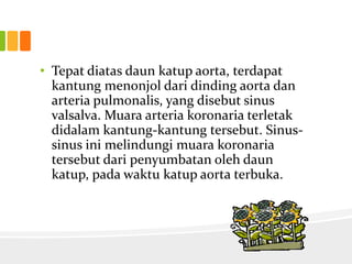 • Tepat diatas daun katup aorta, terdapat
  kantung menonjol dari dinding aorta dan
  arteria pulmonalis, yang disebut sinus
  valsalva. Muara arteria koronaria terletak
  didalam kantung-kantung tersebut. Sinus-
  sinus ini melindungi muara koronaria
  tersebut dari penyumbatan oleh daun
  katup, pada waktu katup aorta terbuka.
 