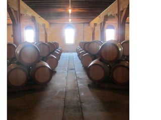 Regusci winery