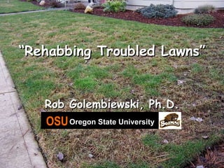 “ Rehabbing Troubled Lawns” Rob Golembiewski, Ph.D. OSU   Oregon State University 