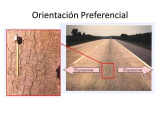 Orientación Preferencial
 
