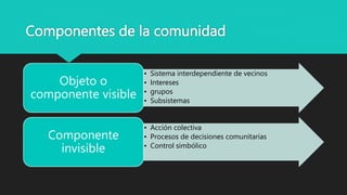 Componentes de la comunidad
• Sistema interdependiente de vecinos
• Intereses
• grupos
• Subsistemas
Objeto o
componente visible
• Acción colectiva
• Procesos de decisiones comunitarias
• Control simbólico
Componente
invisible
 