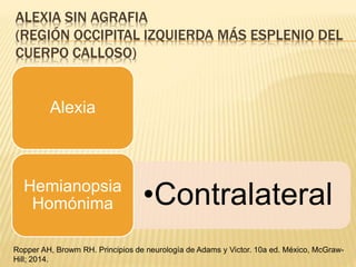 ALEXIA SIN AGRAFIA
(REGIÓN OCCIPITAL IZQUIERDA MÁS ESPLENIO DEL
CUERPO CALLOSO)
Alexia
•ContralateralHemianopsia
Homónima
Ropper AH, Browm RH. Principios de neurología de Adams y Victor. 10a ed. México, McGraw-
Hill; 2014.
 