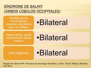 SÍNDROME DE BALINT
(AMBOS LÓBULOS OCCIPITALES)
•Bilateral
Pérdida de los
movimientos
oculares voluntarios
pero no reflejos
•Bilateral
Ataxia óptica, pobre
coordinación visual
motora
•BilateralAsimultagnosia
Ropper AH, Browm RH. Principios de neurología de Adams y Victor. 10a ed. México, McGraw-
Hill; 2014.
 