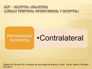 ACP – OCCIPITAL UNILATERAL
(LÓBULO TEMPORAL INFERO-MEDIAL Y OCCIPITAL)
•ContralateralHemianopsia
homónima
Ropper AH, Browm RH. Principios de neurología de Adams y Victor. 10a ed. México, McGraw-
Hill; 2014.
 