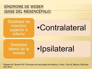 SÍNDROME DE WEBER
(BASE DEL MESENCÉFALO)
•Contralateral
Debilidad de
miembro
superior e
inferior
•Ipsilateral
Debilidad
lateral de la
mirada
Ropper AH, Browm RH. Principios de neurología de Adams y Victor. 10a ed. México, McGraw-
Hill; 2014.
 