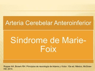 Arteria Cerebelar Anteroinferior
Síndrome de Marie-
Foix
Ropper AH, Browm RH. Principios de neurología de Adams y Victor. 10a ed. México, McGraw-
Hill; 2014.
 