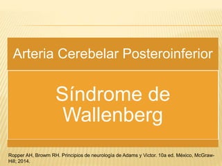 Arteria Cerebelar Posteroinferior
Síndrome de
Wallenberg
Ropper AH, Browm RH. Principios de neurología de Adams y Victor. 10a ed. México, McGraw-
Hill; 2014.
 
