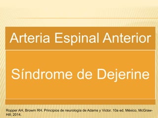 Arteria Espinal Anterior
Síndrome de Dejerine
Ropper AH, Browm RH. Principios de neurología de Adams y Victor. 10a ed. México, McGraw-
Hill; 2014.
 