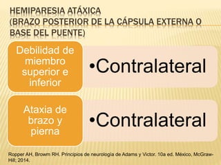 HEMIPARESIA ATÁXICA
(BRAZO POSTERIOR DE LA CÁPSULA EXTERNA O
BASE DEL PUENTE)
•Contralateral
Debilidad de
miembro
superior e
inferior
•Contralateral
Ataxia de
brazo y
pierna
Ropper AH, Browm RH. Principios de neurología de Adams y Victor. 10a ed. México, McGraw-
Hill; 2014.
 