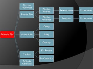 PRINCIPIOS BIOLÓGICOSPulparesPeriodontales