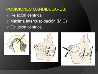 POSICIONES MANDIBULARES:Relación céntricaMáxima Intercuspidación (MIC)Oclusión céntrica