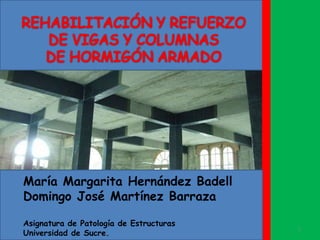 María Margarita Hernández Badell
Domingo José Martínez Barraza
Asignatura de Patología de Estructuras
Universidad de Sucre.
1
 