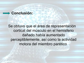 Se obtuvo que el área de representación cortical del músculo en el hemisferio dañado había aumentado perceptiblemente, así como la actividad motora del miembro parético   Conclusión: 
