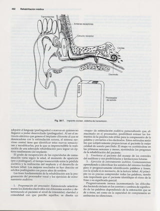 Rehabilitacion gonzález más