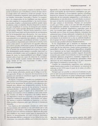 Rehabilitacion gonzález más