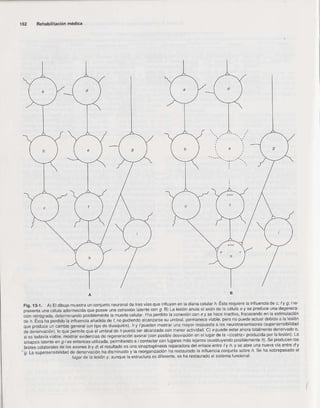 Rehabilitacion gonzález más