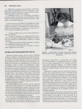 Rehabilitacion gonzález más