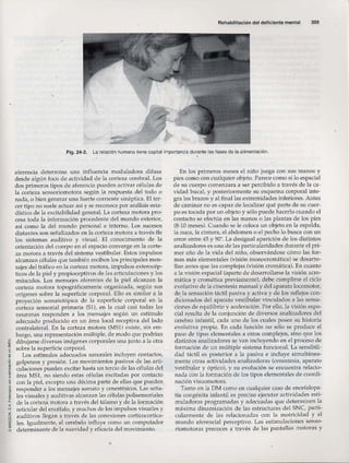 Rehabilitacion gonzález más