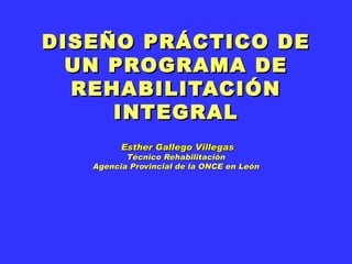 DISEÑO PRÁCTICO DE UN PROGRAMA DE REHABILITACIÓN INTEGRAL  Esther Gallego Villegas Técnico Rehabilitación Agencia Provincial de la ONCE en León 