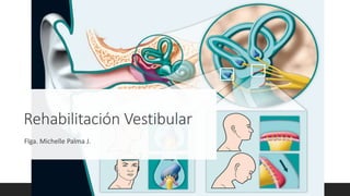 Rehabilitación Vestibular
Flga. Michelle Palma J.
 