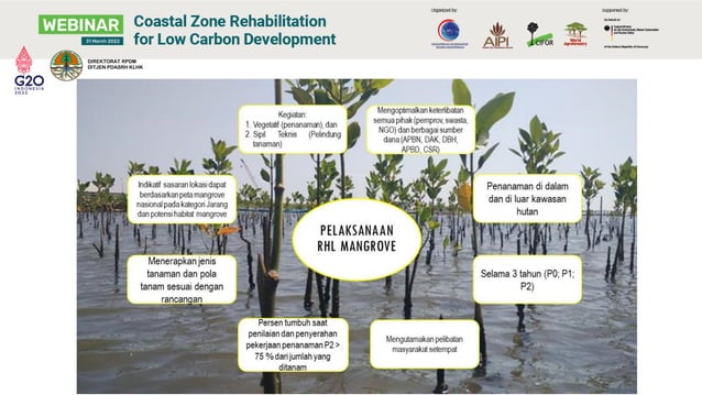 Mengatasi Tantangan Perubahan Iklim: Adaptasi dan Mitigasi melalui Ekowisata Hutan Mangrove