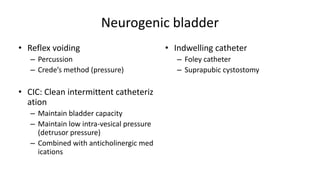 Rehabilitation for spinal cord injured people | PPTX