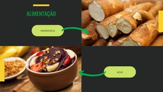 ALIMENTAÇÃO
MANDIOCA
AÇAÍ
 
