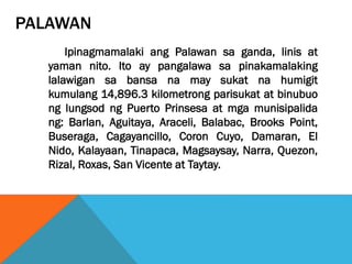 PALAWAN
Ipinagmamalaki ang Palawan sa ganda, linis at
yaman nito. Ito ay pangalawa sa pinakamalaking
lalawigan sa bansa na may sukat na humigit
kumulang 14,896.3 kilometrong parisukat at binubuo
ng lungsod ng Puerto Prinsesa at mga munisipalida
ng: Barlan, Aguitaya, Araceli, Balabac, Brooks Point,
Buseraga, Cagayancillo, Coron Cuyo, Damaran, El
Nido, Kalayaan, Tinapaca, Magsaysay, Narra, Quezon,
Rizal, Roxas, San Vicente at Taytay.
 