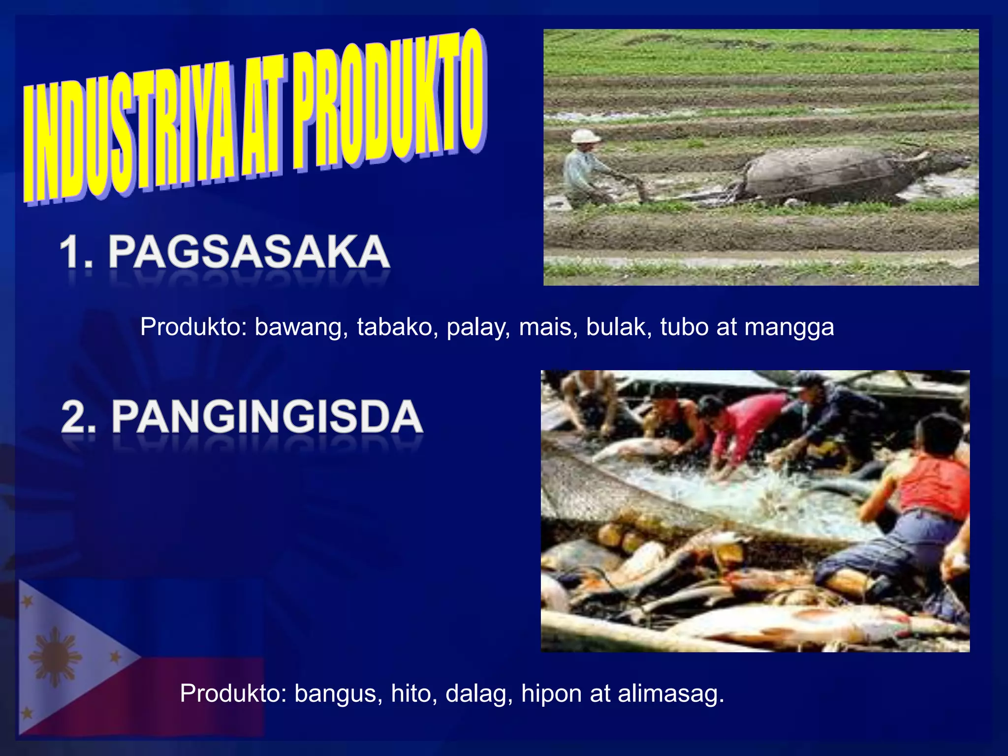 Produkto: bawang, tabako, palay, mais, bulak, tubo at mangga




   Produkto: bangus, hito, dalag, hipon at alimasag.
 