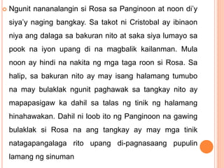  Ngunit nananalangin si Rosa sa Panginoon at noon di’y
siya’y naging bangkay. Sa takot ni Cristobal ay ibinaon
niya ang dalaga sa bakuran nito at saka siya lumayo sa
pook na iyon upang di na magbalik kailanman. Mula
noon ay hindi na nakita ng mga taga roon si Rosa. Sa
halip, sa bakuran nito ay may isang halamang tumubo
na may bulaklak ngunit paghawak sa tangkay nito ay
mapapasigaw ka dahil sa talas ng tinik ng halamang
hinahawakan. Dahil ni loob ito ng Panginoon na gawing
bulaklak si Rosa na ang tangkay ay may mga tinik
natagapangalaga rito upang di-pagnasaang pupulin
lamang ng sinuman
 