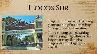 Ilocos Sur
✣ Pagtatanim rin ng tabako ang
pangunahing ikanabubuhay
ng mga naninirahan dito.
✣ Iloko rin ang pangunahing
wika ng mga taga-Ilocos Sur
bagamat may ilan ring
nagsasalita ng Tagalog at
Ingles.
 