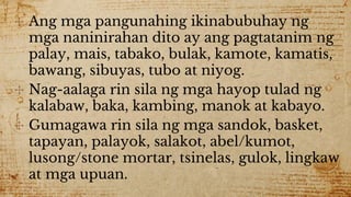 ✣ Ang mga pangunahing ikinabubuhay ng
mga naninirahan dito ay ang pagtatanim ng
palay, mais, tabako, bulak, kamote, kamatis,
bawang, sibuyas, tubo at niyog.
✣ Nag-aalaga rin sila ng mga hayop tulad ng
kalabaw, baka, kambing, manok at kabayo.
✣ Gumagawa rin sila ng mga sandok, basket,
tapayan, palayok, salakot, abel/kumot,
lusong/stone mortar, tsinelas, gulok, lingkaw
at mga upuan.
 
