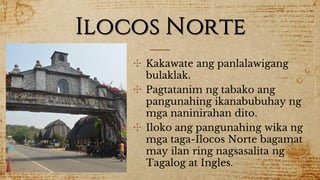 Ilocos Norte
✣ Kakawate ang panlalawigang
bulaklak.
✣ Pagtatanim ng tabako ang
pangunahing ikanabubuhay ng
mga naninirahan dito.
✣ Iloko ang pangunahing wika ng
mga taga-Ilocos Norte bagamat
may ilan ring nagsasalita ng
Tagalog at Ingles.
 