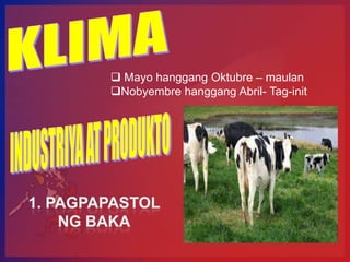  Mayo hanggang Oktubre – maulan
Nobyembre hanggang Abril- Tag-init
 