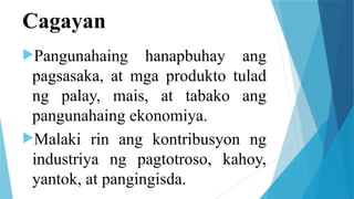 Cagayan
Pangunahaing hanapbuhay ang
pagsasaka, at mga produkto tulad
ng palay, mais, at tabako ang
pangunahaing ekonomiya.
Malaki rin ang kontribusyon ng
industriya ng pagtotroso, kahoy,
yantok, at pangingisda.
 